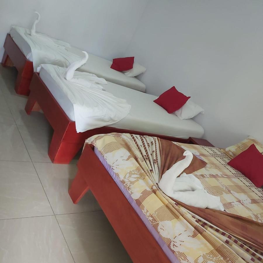 Cabanas Daneysha Tortuguero Dış mekan fotoğraf