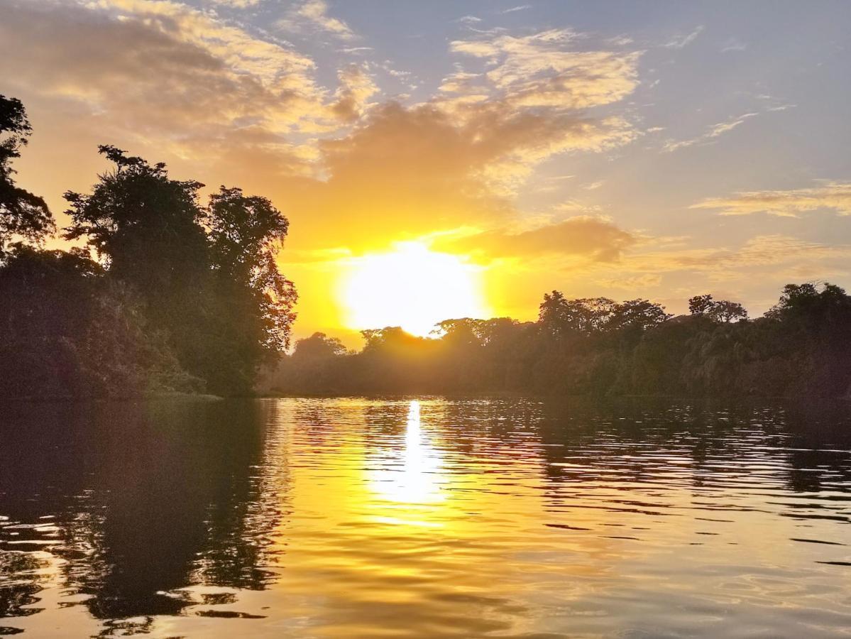 Cabanas Daneysha Tortuguero Dış mekan fotoğraf