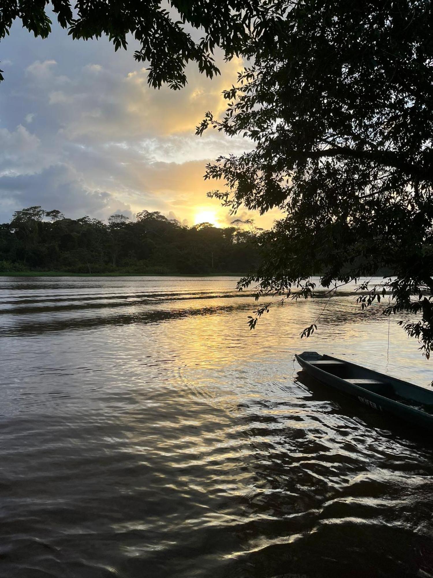 Cabanas Daneysha Tortuguero Oda fotoğraf